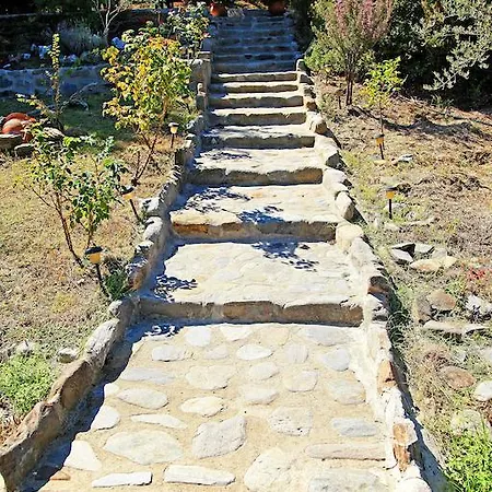 Dionysus & Ierissos