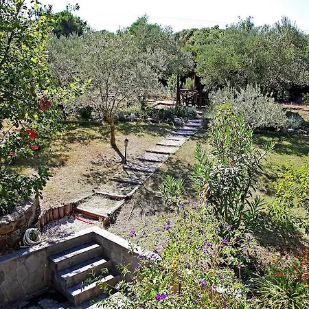 Dionysus & Ierissos