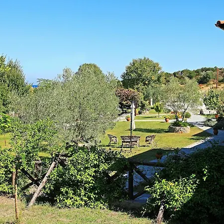 Dionysus & Ierissós