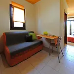 Dionysus & Apartment *