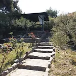 Dionysus & * Jeriszósz