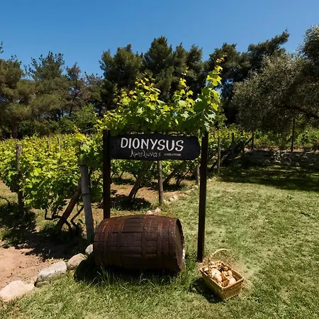 Dionysus & *