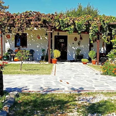 Apartament Dionysus &