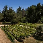 Dionysus & Appartement