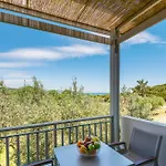 Dionysus & Appartement