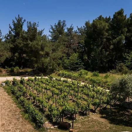 Dionysus & Apartament