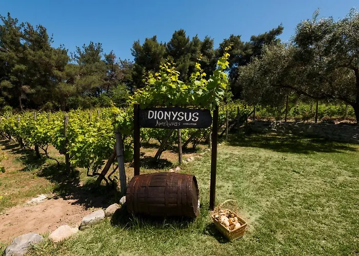 Dionysus & *