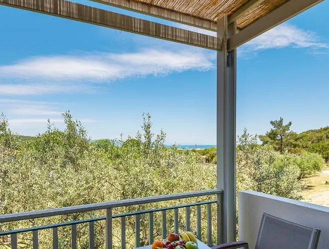 Dionysus & Appartement