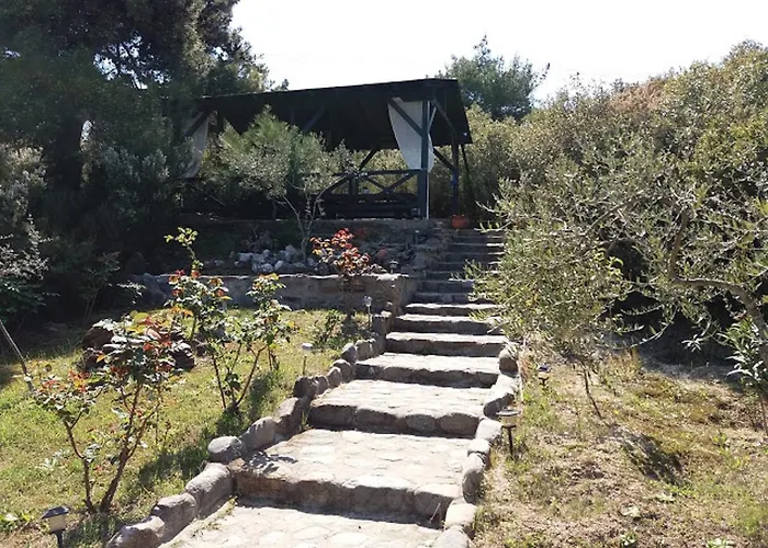 Dionysus & * Ierissos